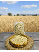 ERİŞTE