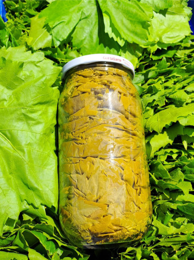 Kuru Basım Asma Yaprak...